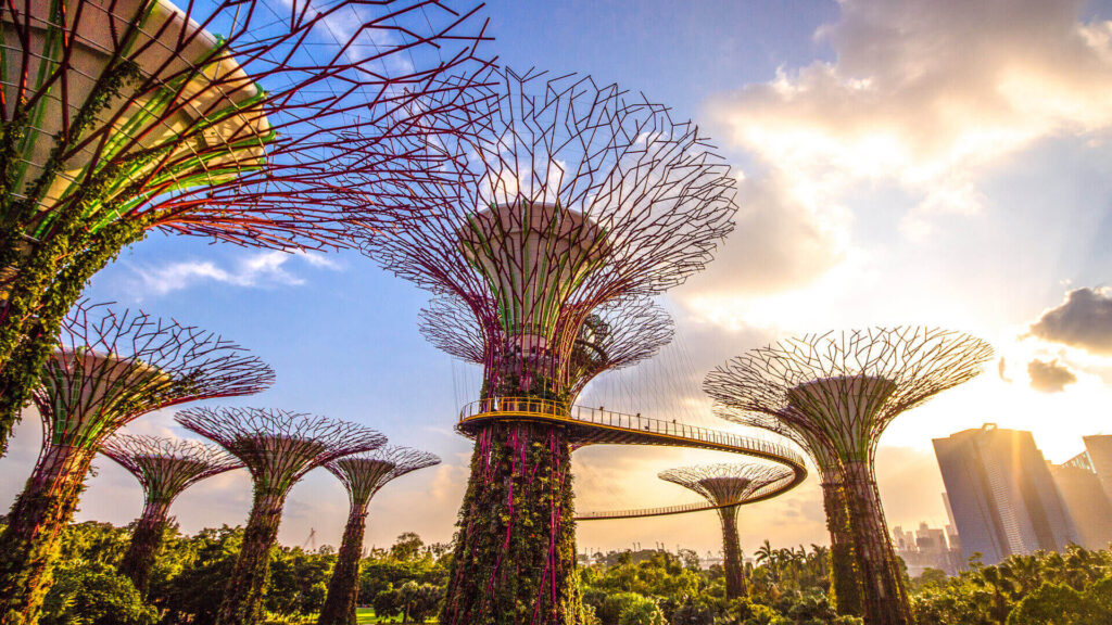 gardens by the bay skylanes