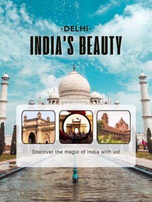 delhitour delhitour